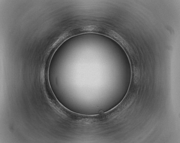 X0000114510482200910191136