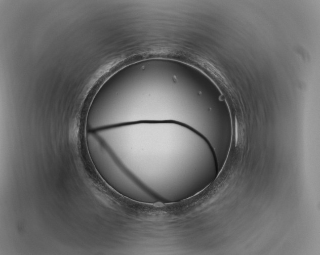 X0000114510483200910191136