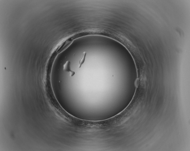 X0000114510484200910191136