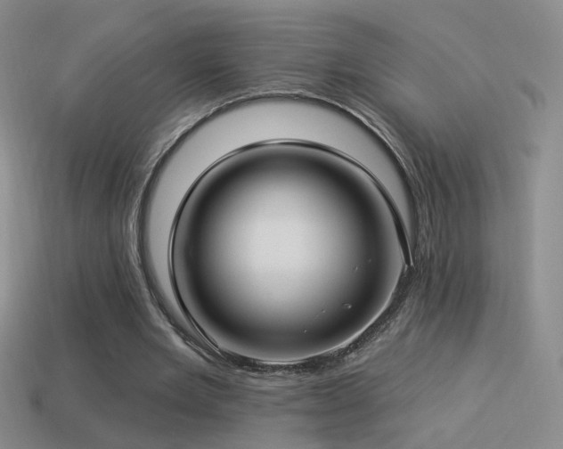 X0000114510485200910191136