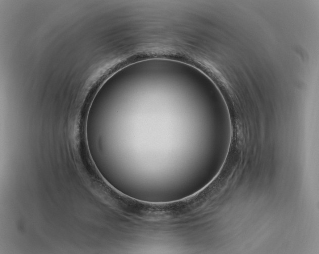 X0000114510487200910191136