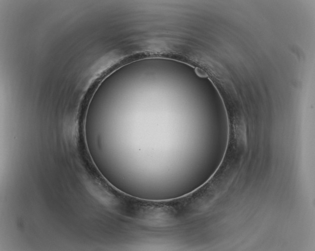 X0000114510488200910191136