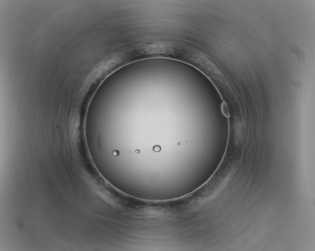 X0000114510490200910191136