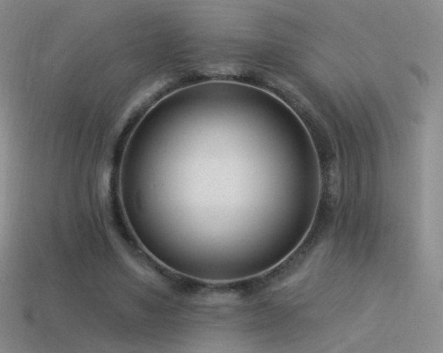 X0000114510491200910191136