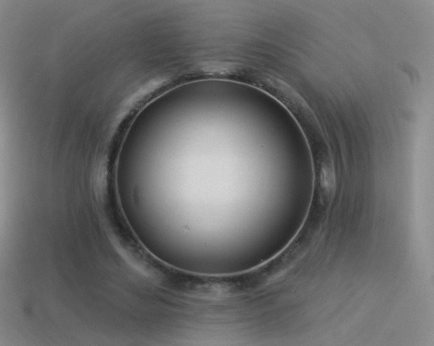 X0000114510492200910191136