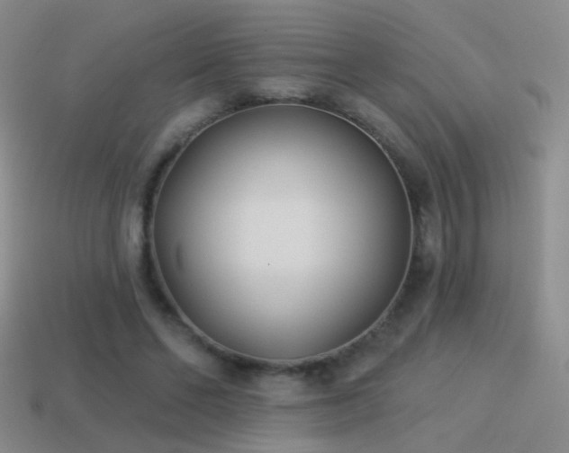 X0000114510494200910191136