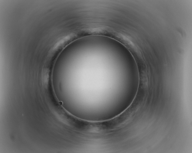 X0000114510495200910191136