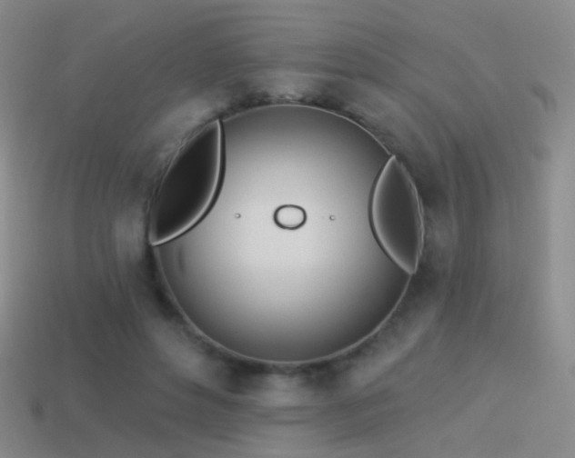 X0000114510496200910191136