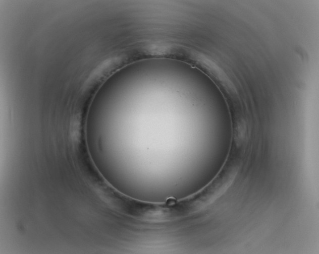 X0000114510497200910191136