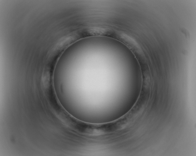 X0000114510498200910191136