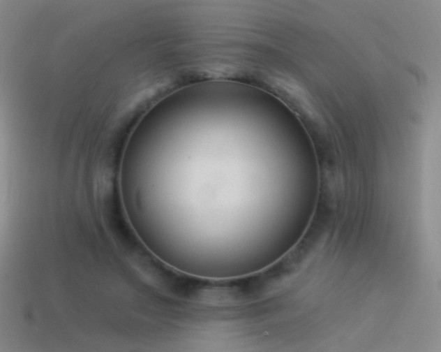 X0000114510499200910191136