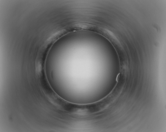 X0000114510500200910191136