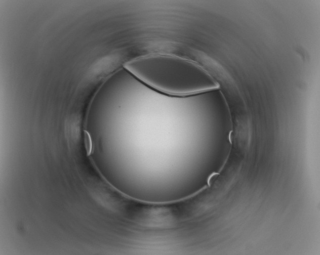 X0000114510501200910191136