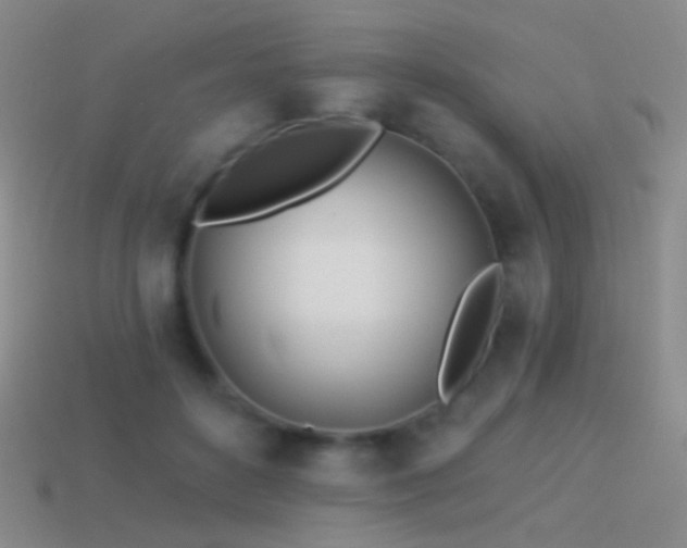 X0000114510504200910191136