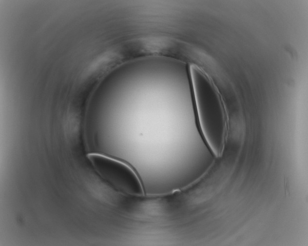 X0000114510505200910191136