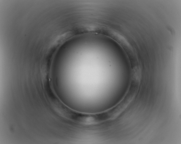 X0000114510509200910191136