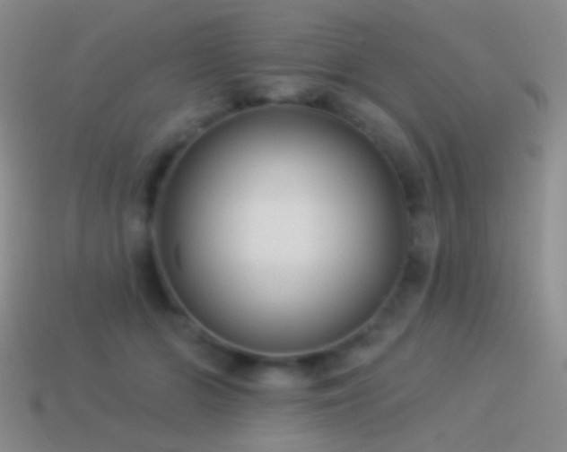 X0000114510510200910191136