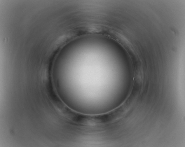 X0000114510512200910191136