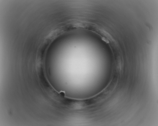 X0000114510513200910191136