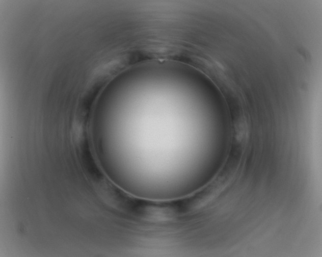 X0000114510515200910191136