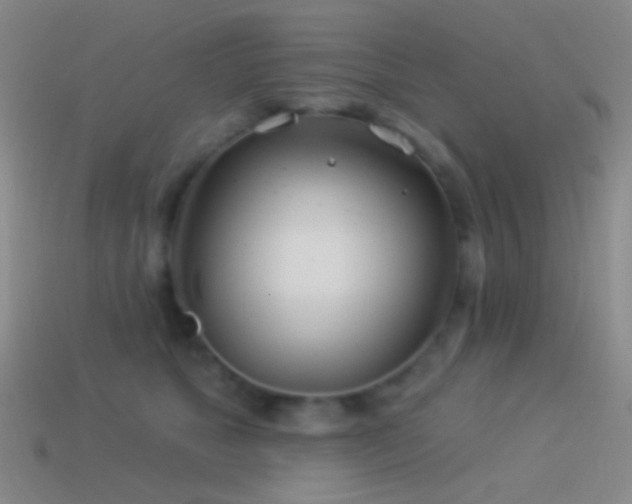 X0000114510517200910191136