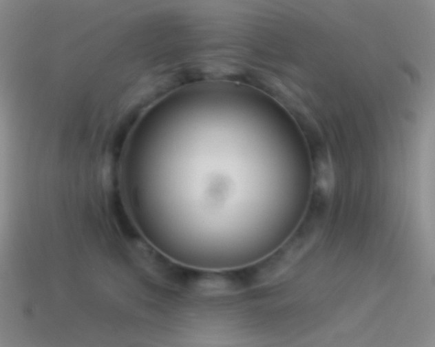 X0000114510519200910191136