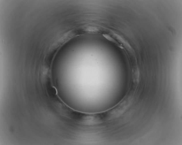 X0000114510521200910191136