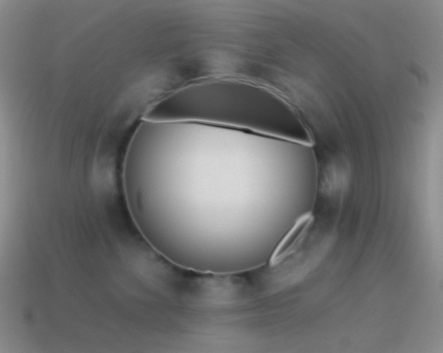 X0000114510524200910191135