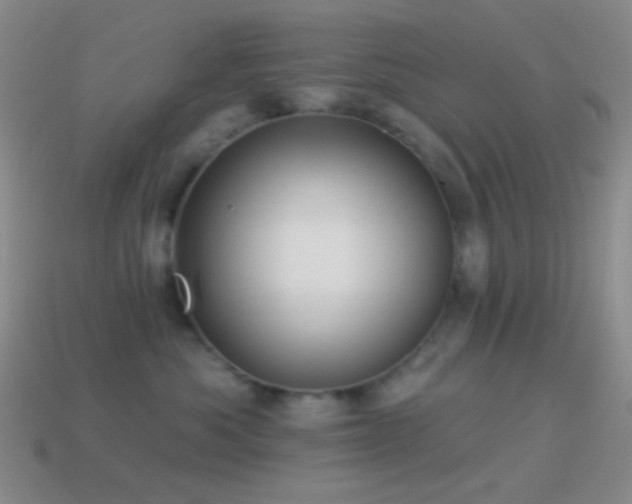 X0000114510525200910191135