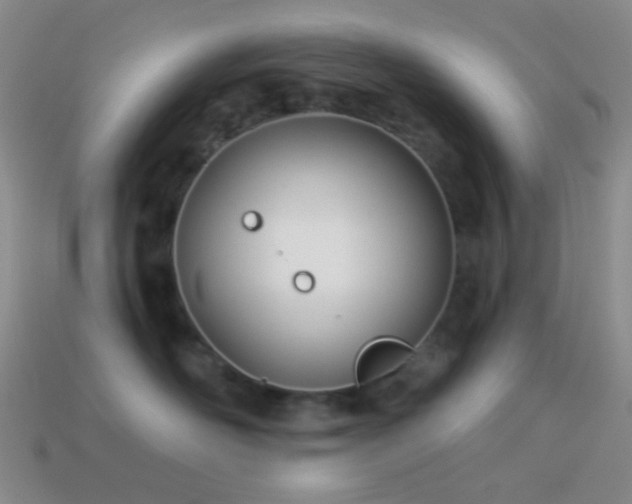 X0000114510526200910191135