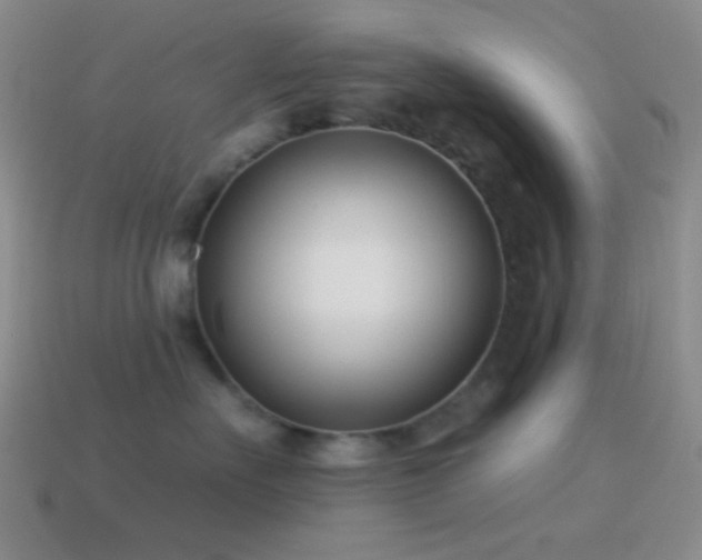 X0000114510527200910191135