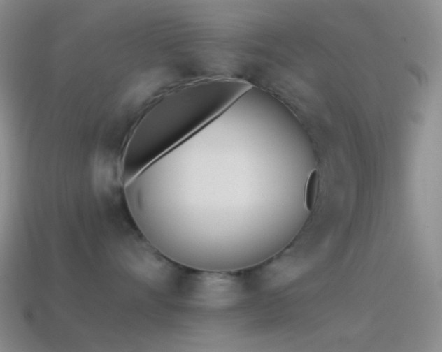 X0000114510528200910191135