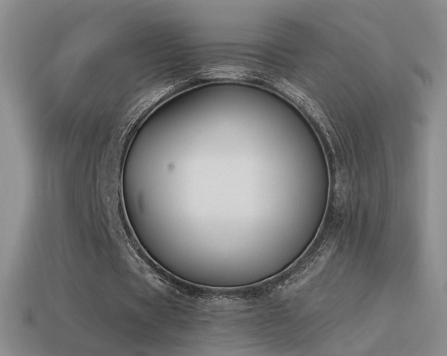 X0000114510529200910191135