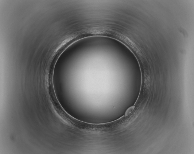 X0000114510530200910191135