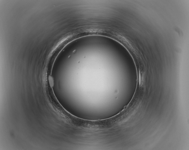 X0000114510531200910191135