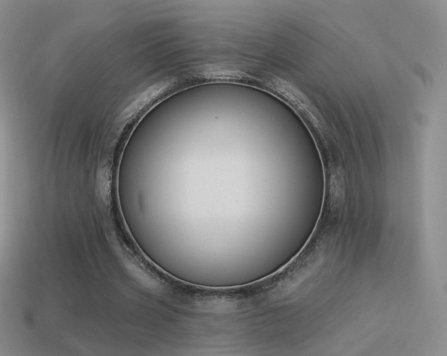 X0000114510533200910191135