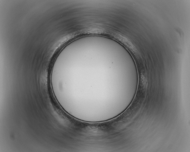 X0000114510534200910191135