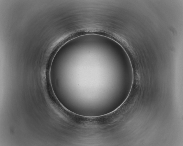 X0000114510535200910191135