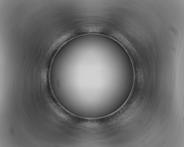 X0000114510537200910191135