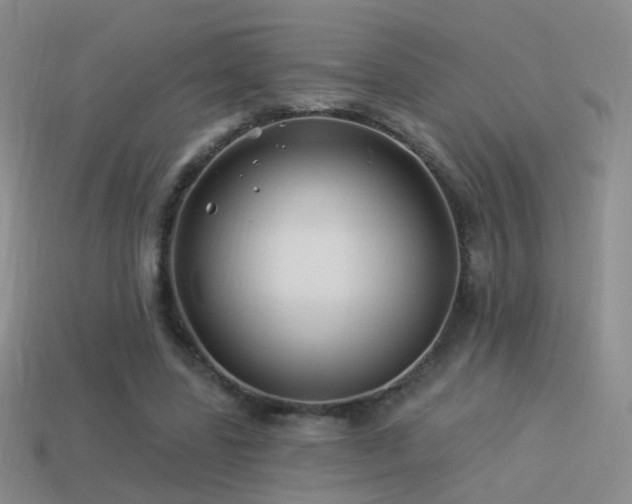 X0000114510539200910191135