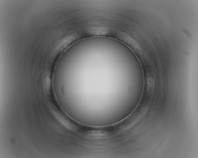 X0000114510541200910191135