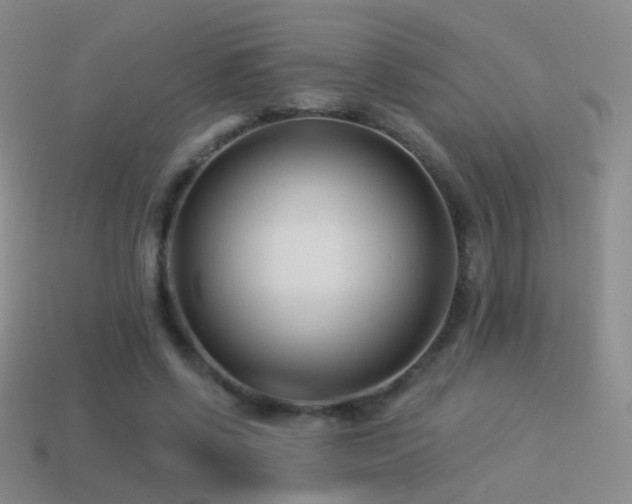 X0000114510542200910191135