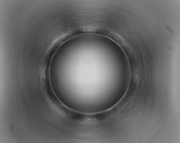 X0000114510543200910191135