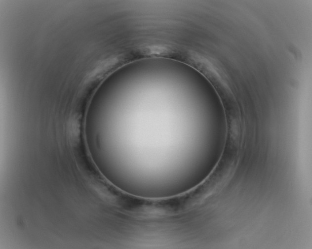 X0000114510545200910191135