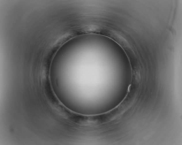 X0000114510546200910191135