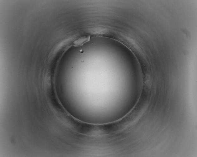 X0000114510547200910191135