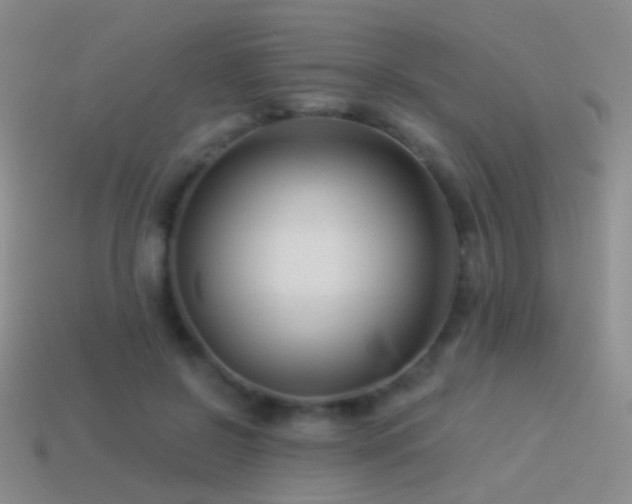 X0000114510550200910191135