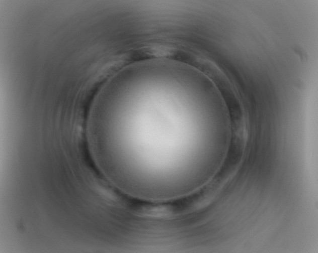 X0000114510553200910191135