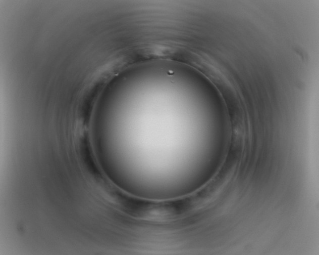 X0000114510555200910191135