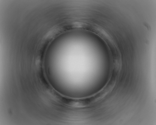 X0000114510557200910191135